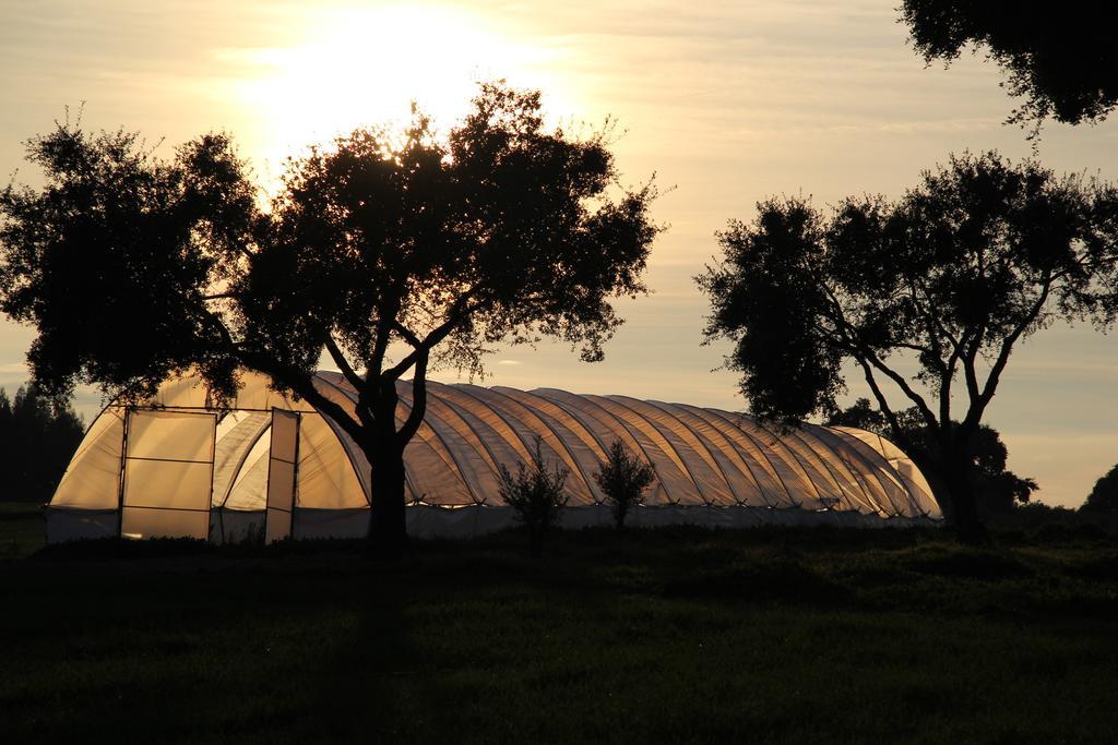 Refugio Das Origens Ermidas 외부 사진